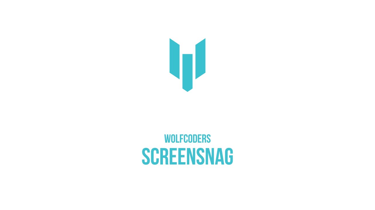 screensnag