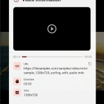 Url Video Player