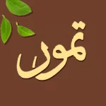 تطبيق تمور