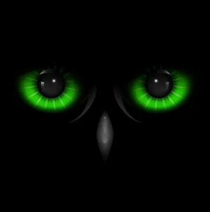 تحميل تطبيق Night Eyes Apk للاندرويد و الايفون اخر اصدار 2024 مجانا برابط مباشر