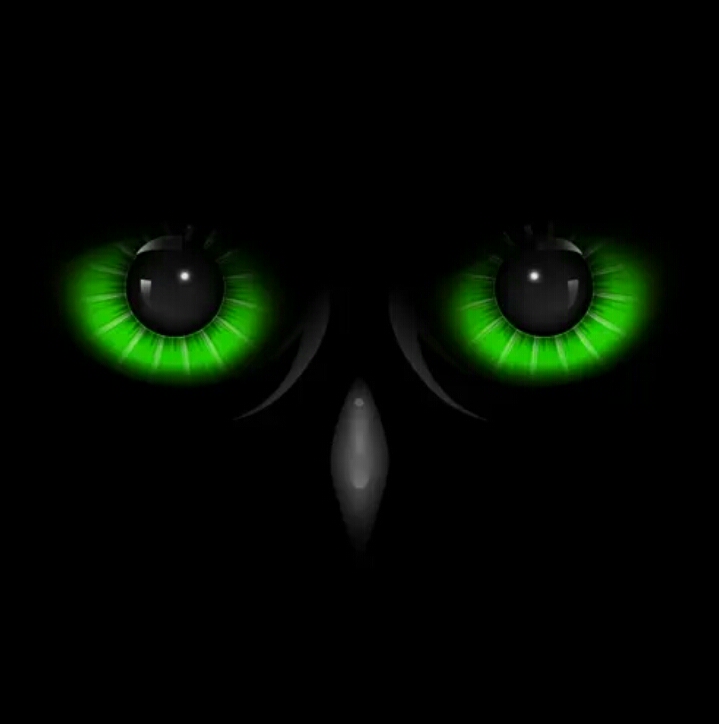تحميل تطبيق Night Eyes Apk للاندرويد و الايفون اخر اصدار 2024 مجانا برابط مباشر