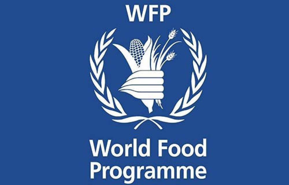 رابط التسجيل وتحديث البيانات في برنامج الغذاء العالمي WFP غزة يقدم مساعدات نقدية وغذائية للعام 2026
