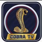 cobra iptv اخر اصدار