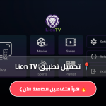 Lion TV