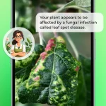PlantSnap