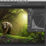 فوتوشوب سي سي Photoshop CC