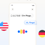 Pingo AI
