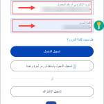 باي بال
