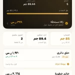 Banajir