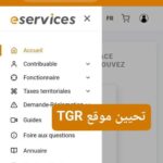 تحميل تطبيق TGR eServices