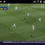 Livekoora Online