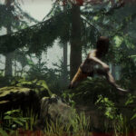 The Forest