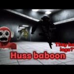 Huss Baboon