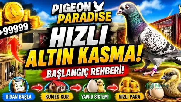 ملك الحمام Pigeon Paradise مهكرة