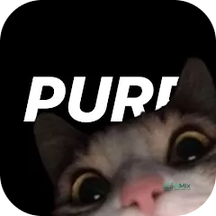 تحميل تطبيق Purp APK للتواصل للاندرويد وللايفون آخر إصدار 2027 مجانا