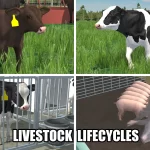 American Farming
