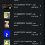 Yw player APK